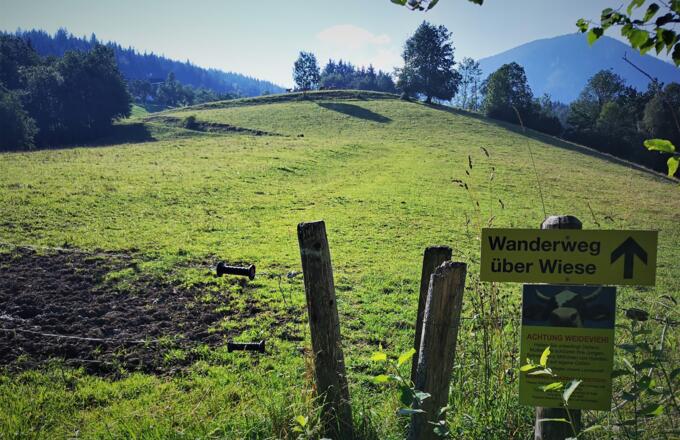 Wiesenweg hinauf zum Wartegg in Hinterstoder