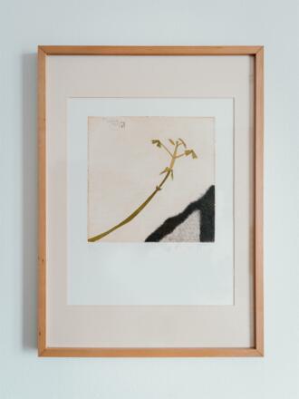 Hotel_Esplanade_lowres27