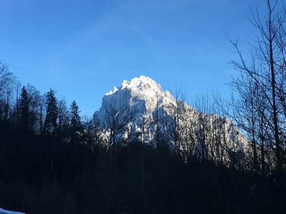 Landschaft