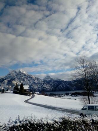 Winter