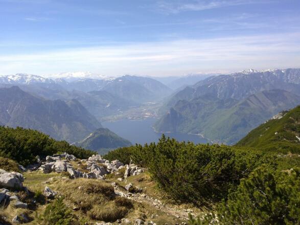 Blick auf Traunsee