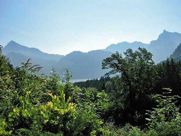 Waldeck - Aussicht
