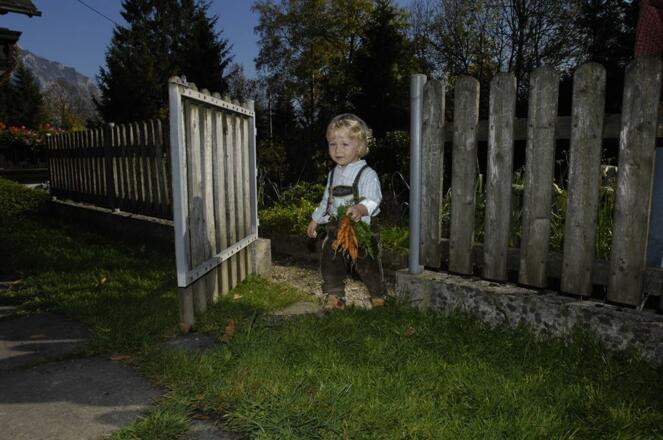 Severin im Gemüsegarten