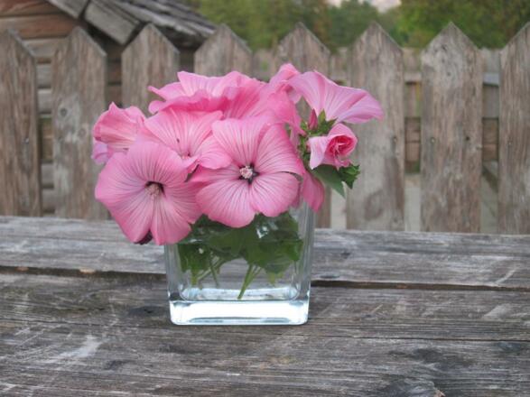 Blumen