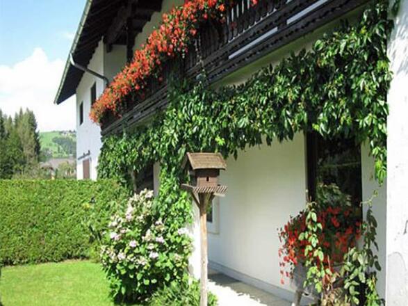 Moosmann_Garten1_Sommer
