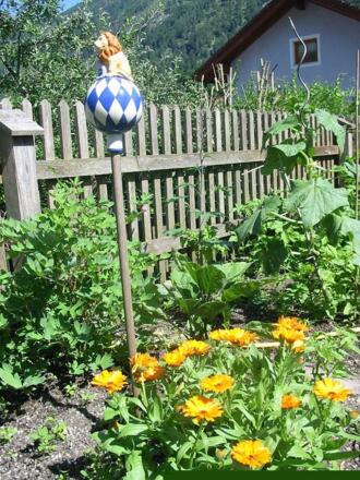 gemuesegarten