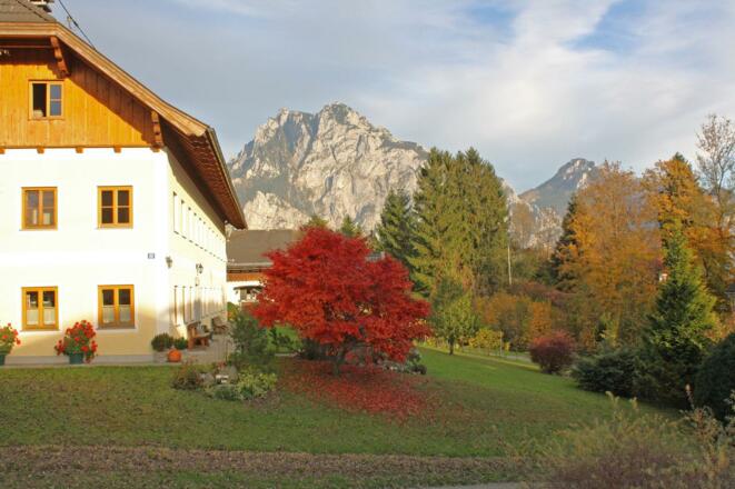 Herbstbild