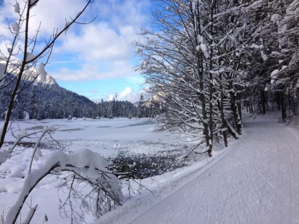 Am Suttensee