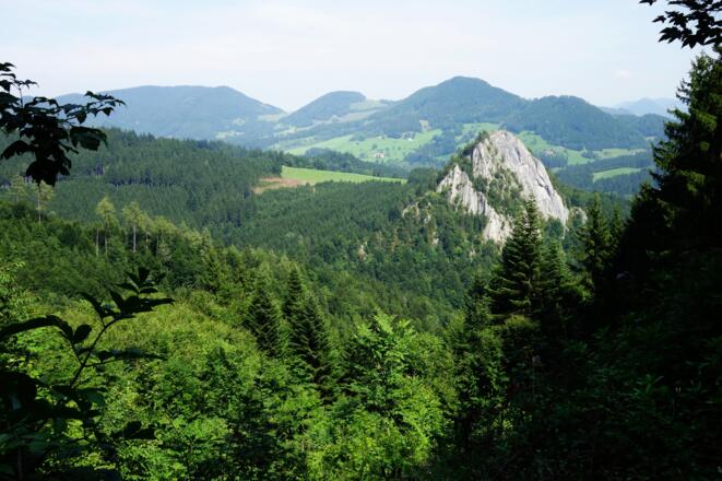 die Wolkenmauer im Höllleitental
