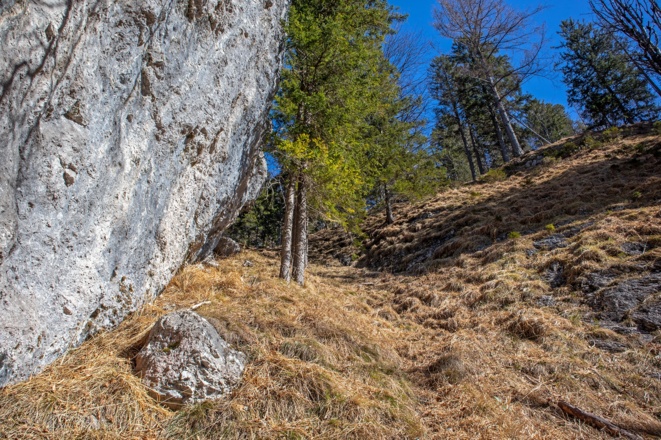 Aufstieg zum Gamskogel entlang der Felswand.