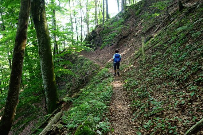 der Menweg entlang des Schiefersteinkamms