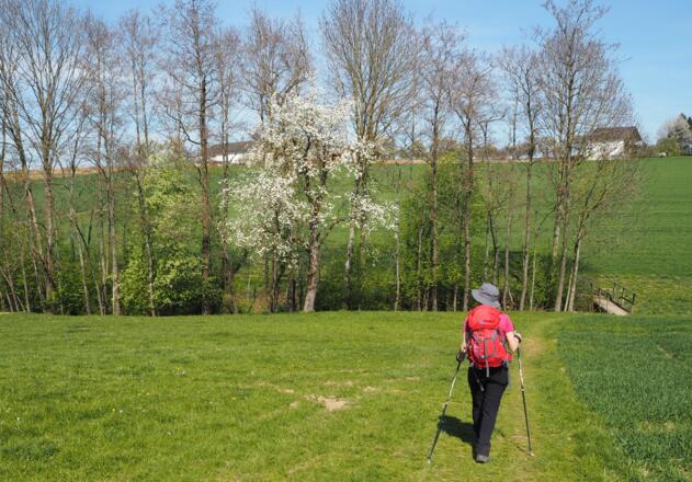 Pilgerin auf dem Weg nach Kremsmünster