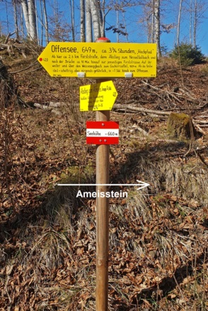 Weggabelung: Der Weg zum Ameisstein ist nicht markiert.