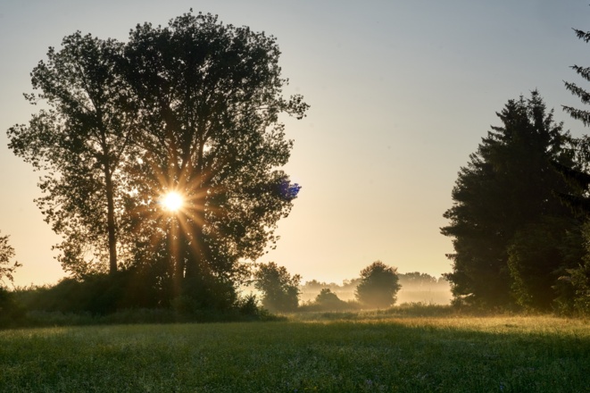 Naturmoorgebiet in Bad Gögging