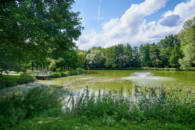 Kursee