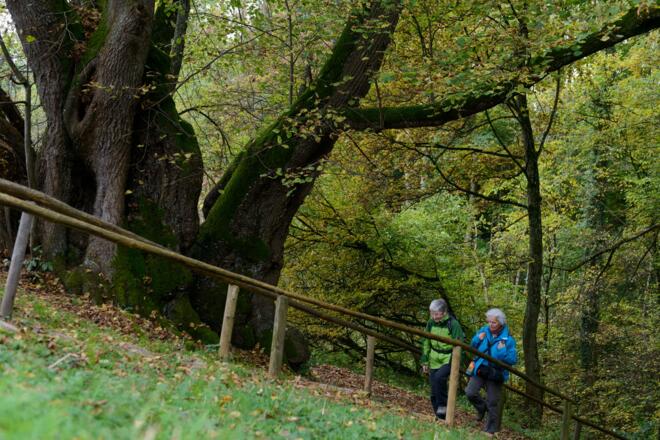 Tassilo Linde bei Wessobrunn