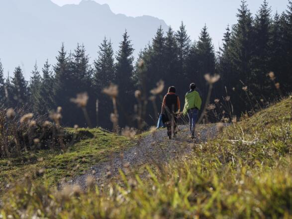 Wandern_am_Muttersberg_bei_Bludenz_(c)_Andreas_Gaß