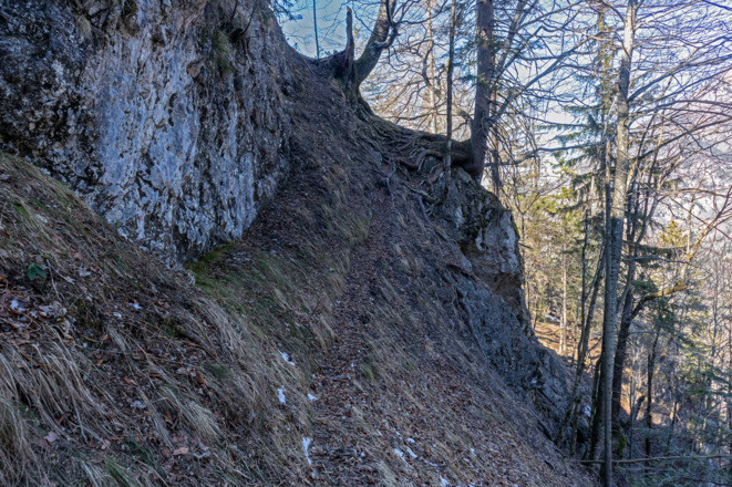 Querung zum Gipfel des Gamskogels.