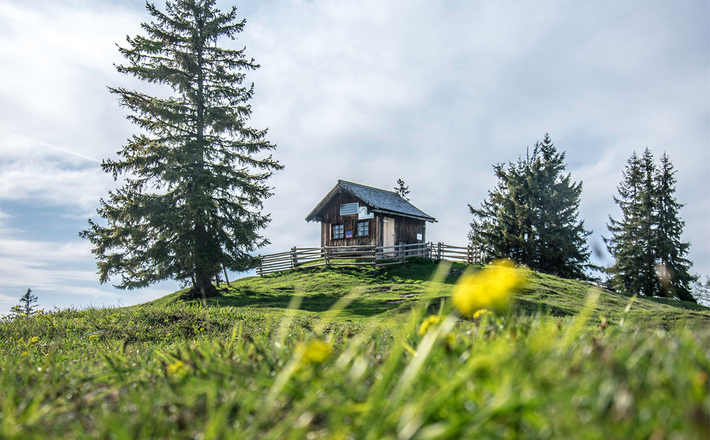 Frühling an der Bezoldhütte auf dem Toten Mann