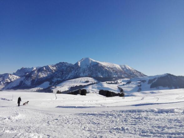 Winterlandschaft Postalm2