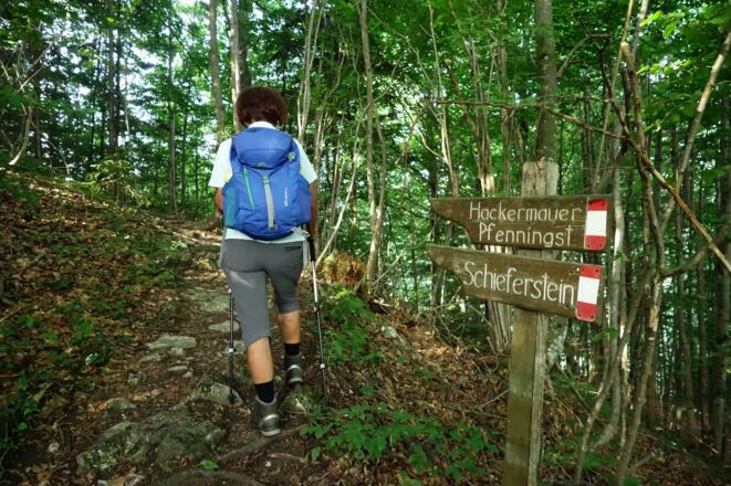 unterwegs zum Pfenningstein und Hackermauer