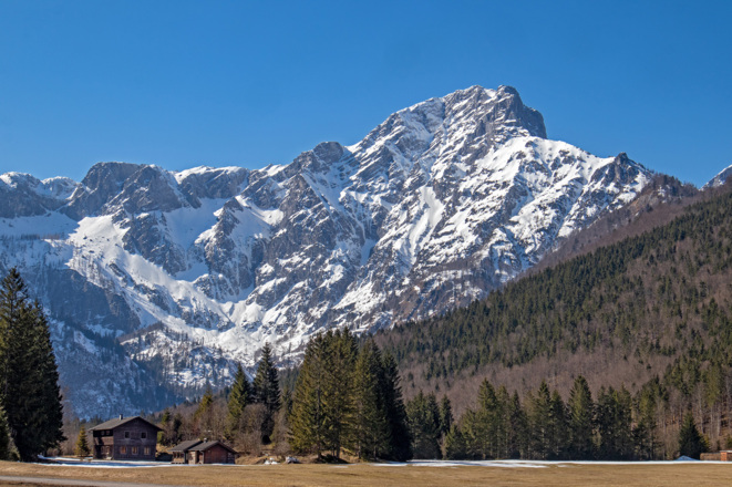 Almsee-Südufer, Blick zum Großen Woising.