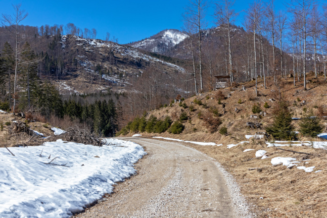Forststraße, vom Ameisstein zur Seeklause.