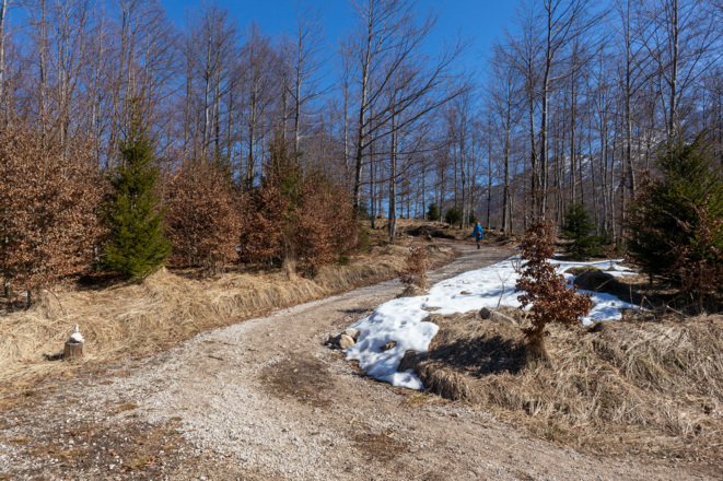 Abzweigung zum Ameisstein.
