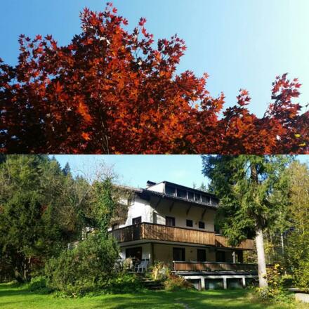 14753381_10154055291766347_3418184922744200499_o