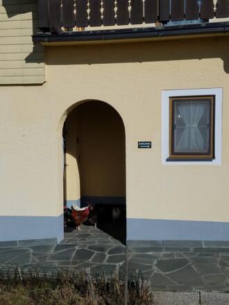 In Maierhof: Das ist bitte nicht der Eingang in den Hühnerstall.