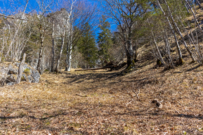 Steile Rinne hinauf zum Gamskogel.