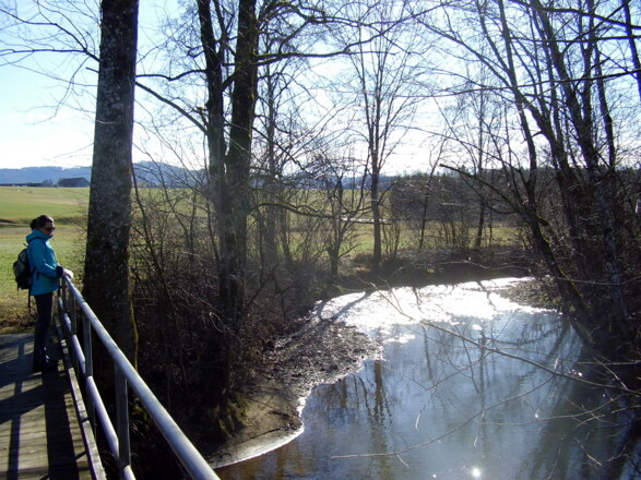 Der Unterhirschleitensteg führt über den Wallerbach.