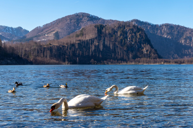 Almsee-Ostuferweg, Blick zum Ameisstein.