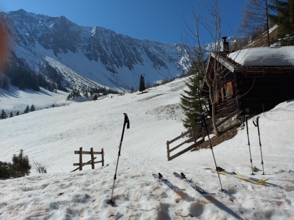 Bei der Abfahrt: Rast und Sonnenbad bei der Gartneralm