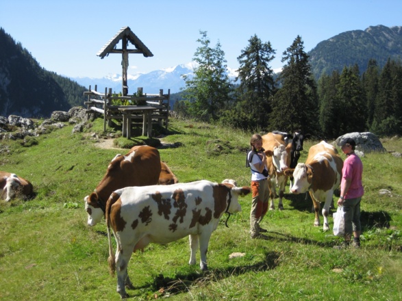 Almkreuz auf der Kallbrunnalm