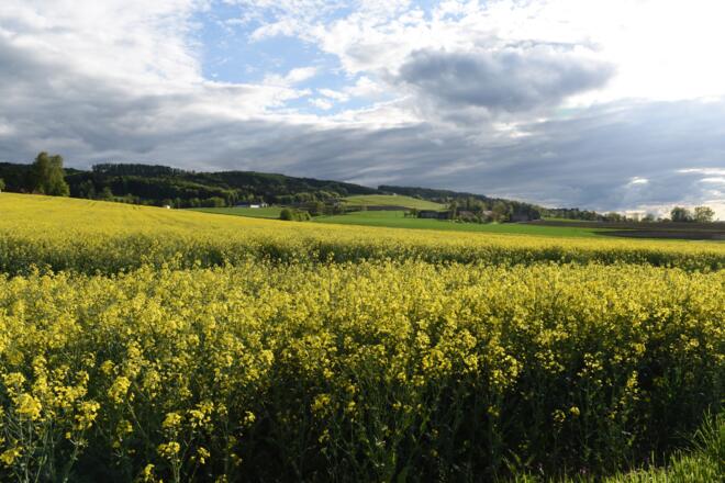 Landschaft bei Nußbach