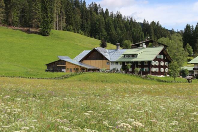 Sommer