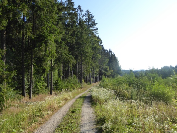 schöne Feldwege liegen heute vor uns