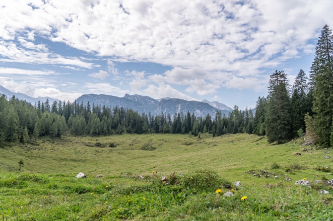 Blick von der Moosenalm zur Reiter Alm