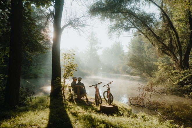 Radeln im Wald Au an der Donau