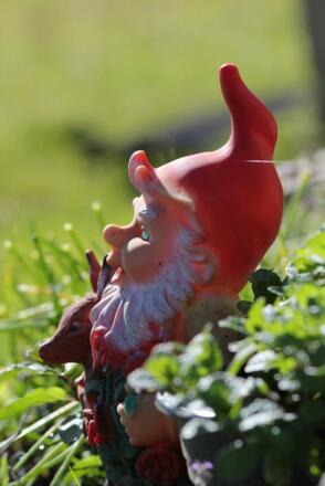 Reithütte Familie Mösenbichler Hintersee Zwerg