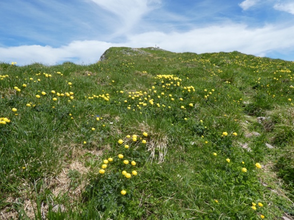 Rückblick zum Fakstein