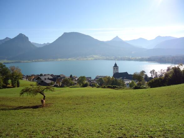 Apartmenthaus Waldhorn