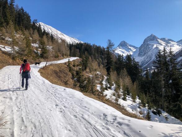 Im Aufstieg auf der Forststrasse
