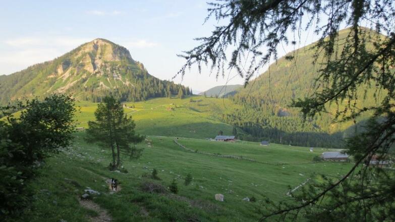 Reithütte Familie Mösenbichler Hintersee Hund
