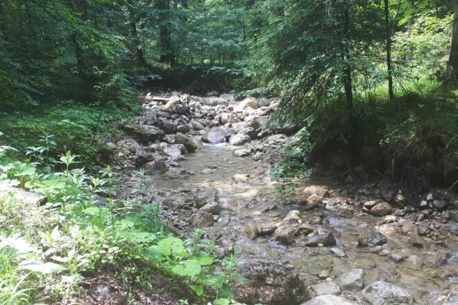 Flusslauf Ebnater Ache