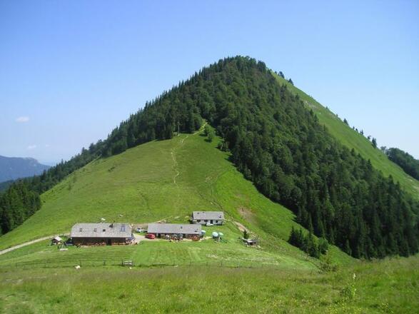 Aussicht auf den Faistenauer Schafberg und die Alm