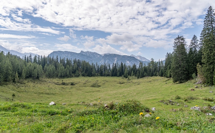 Blick von der Moosenalm zur Reiter Alm