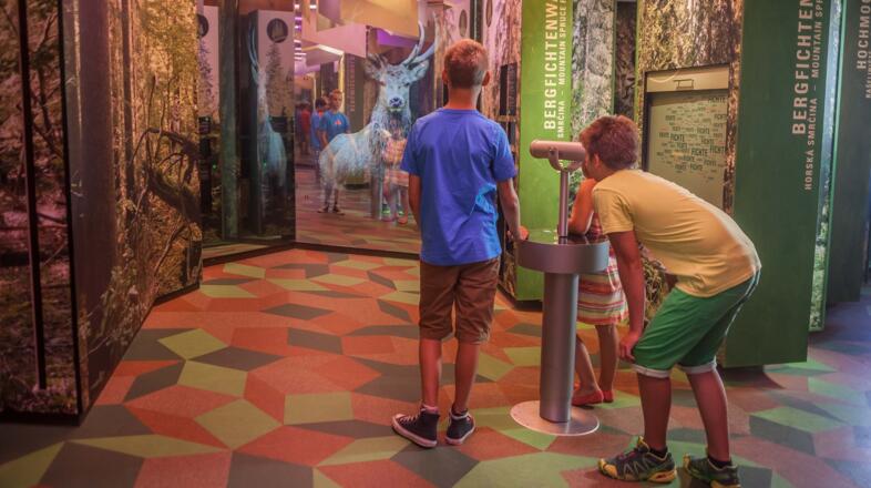 Waldgeschichtliches Museum