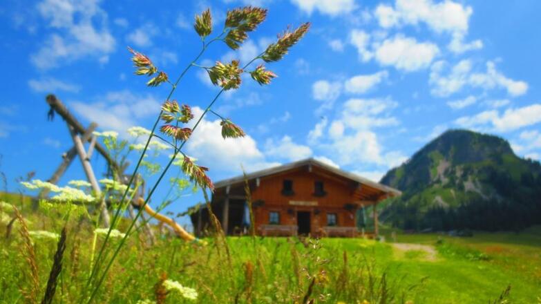 Reithütte Familie Mösenbichler Hintersee Hütte 1